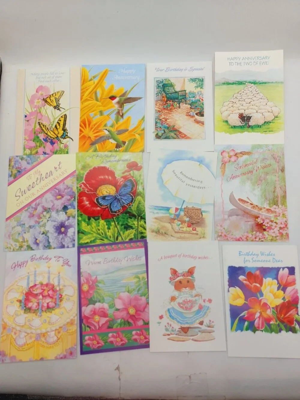 Red Farm Studio Album Note Cards Envelopes Spiral Bound Card Holder